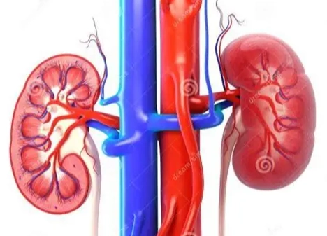 改善腎功能