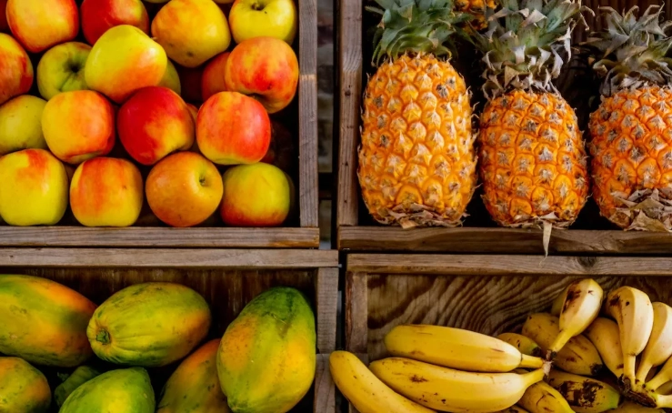 腎臟病飲食水果