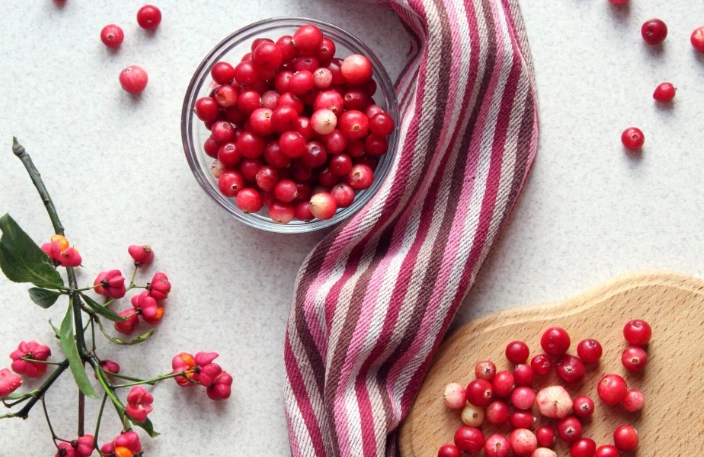 蔓越莓膠囊功效全解析：保護泌尿道健康的科學指南