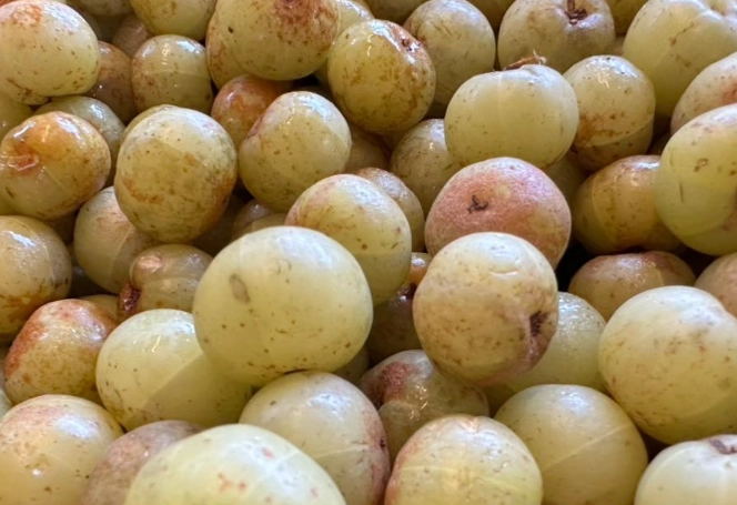 腎臟病飲食水果