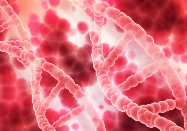 地中海貧血鐵質補充