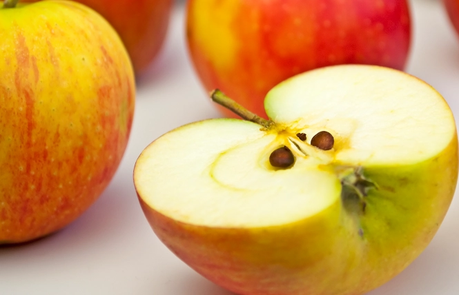 胃潰瘍飲食 胃潰瘍飲食