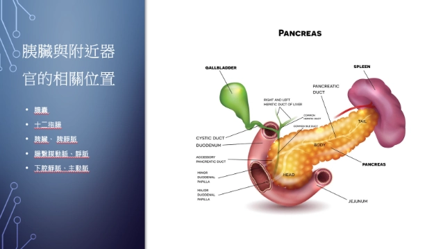 急性胰臟炎 治療