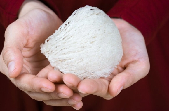 燕窩食用時間 燕窩食用時間