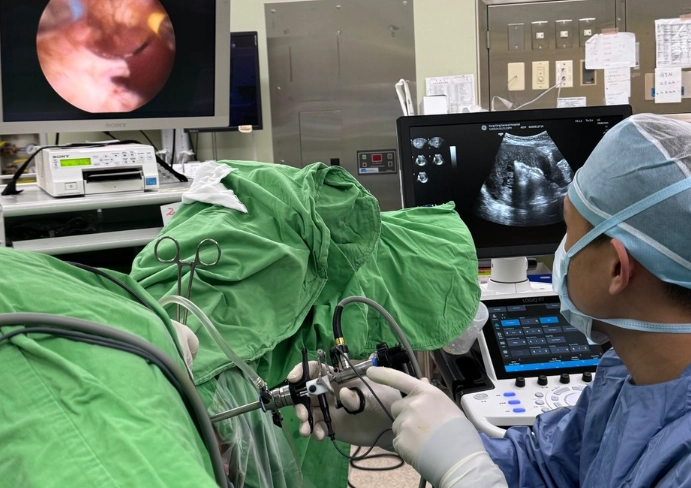 子宮肌腺症治療 子宮肌腺症治療