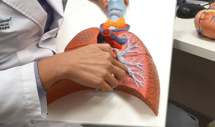 鹧鸪汤功效与禁忌