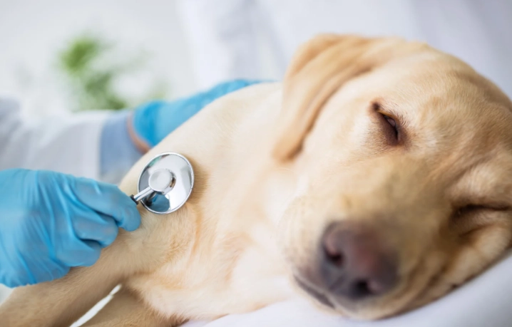 急性胰臟炎 死亡率