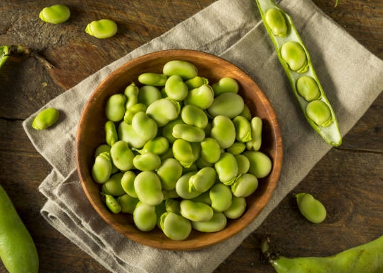 蠶豆症會自己好嗎