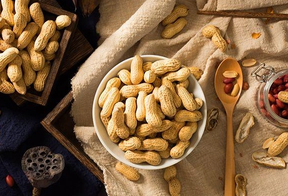 蠶豆症 禁忌食物