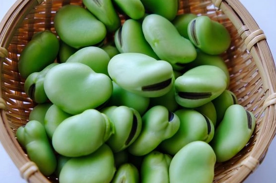 G6PD缺乏症 壽命 G6PD缺乏症 壽命