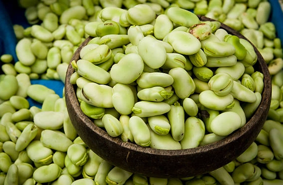 蠶豆症 禁忌食物