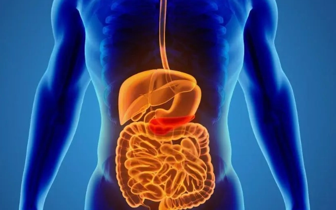 胰島素 治療 胰臟炎 胰島素 治療 胰臟炎