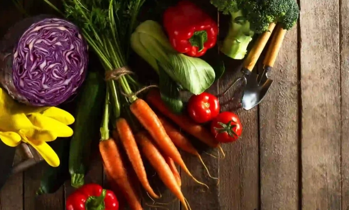 植化素功效 植化素功效