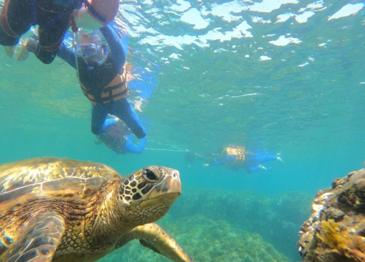 小琉球三天兩夜套裝行程 小琉球三天兩夜套裝行程