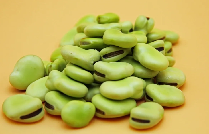 G6PD缺乏症食物管理 G6PD缺乏症食物管理