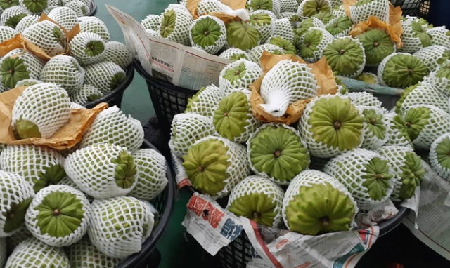 維他命C水果怎麼吃