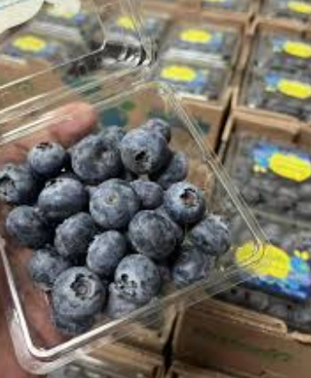 藍莓怎麼吃 藍莓怎麼吃