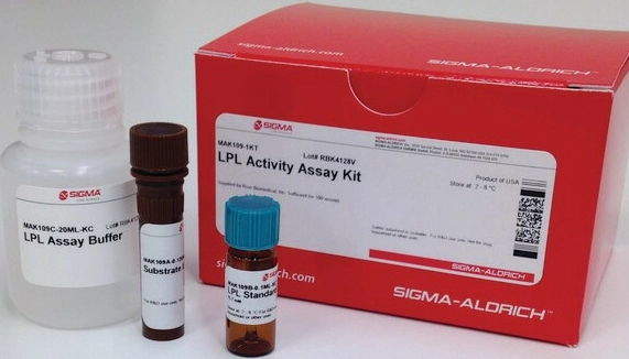 降膽固醇運動全攻略：有效運動類型、頻率與飲食搭配指南