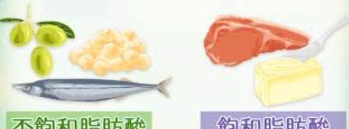 基礎代謝率提升 基礎代謝率提升