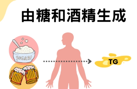 史他汀類藥物吃法