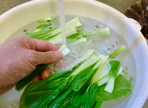 蔬菜維他命C含量