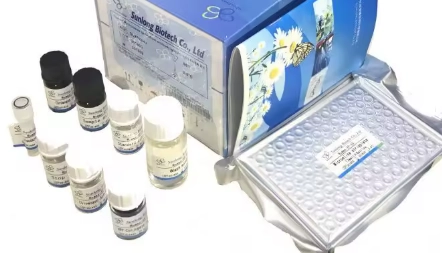 一直喝水沒尿意