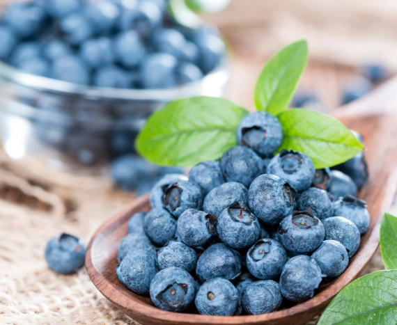 藍莓營養高但禁忌要知道！這五種人與三種吃法請避開