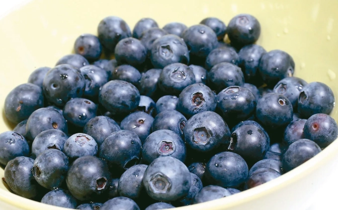 藍莓一天吃幾顆才健康？完整攝取指南與實用建議