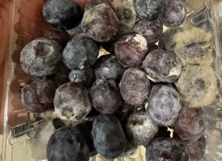 洗藍莓的正確方法 洗藍莓的正確方法