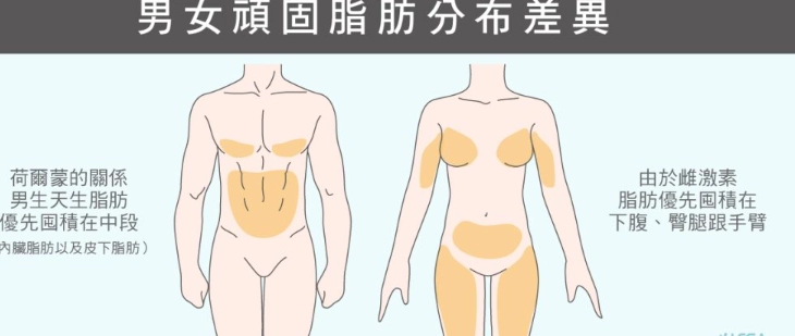 減重多久看得出來