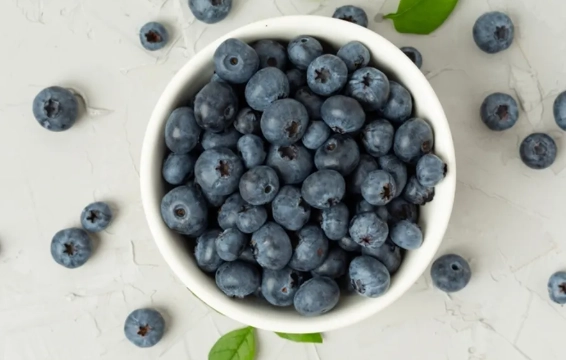 藍莓禁忌 藍莓禁忌
