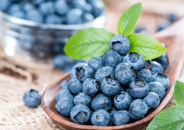 藍莓營養吸收 藍莓營養吸收