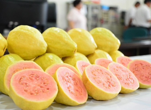 高維他命C水果排名