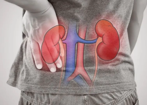 一喝水就尿多代表腎臟好還是不好？專業解析與健康建議