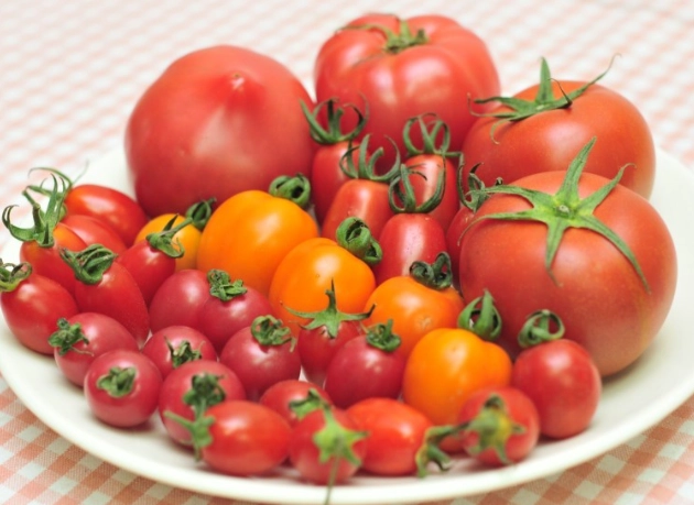 大番茄小番茄差異
