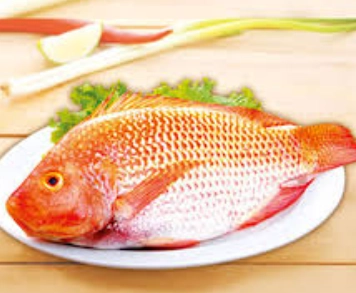 哪些魚不能吃 哪些魚不能吃