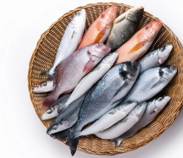 永續海洋吃無毒魚：聰明挑選指南與美味實踐