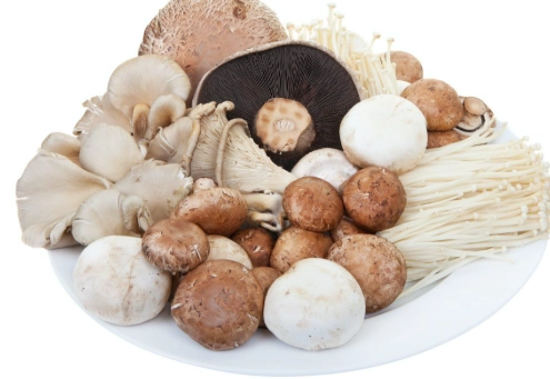 菇類血糖的終極指南：穩定血糖的天然飲食策略