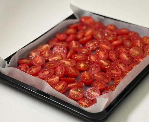 小番茄採收時間