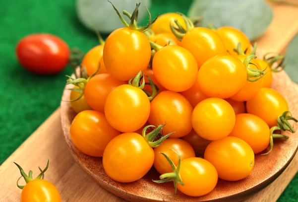 黃色小番茄營養