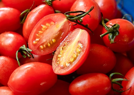 小番茄茄紅素含量排名