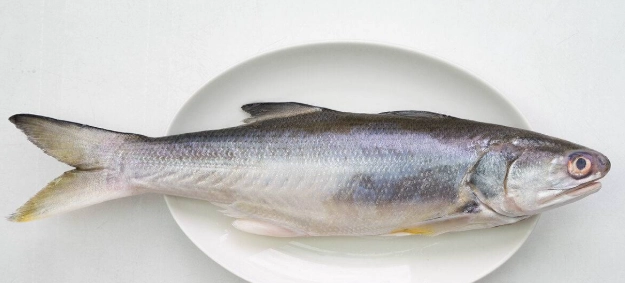 台灣海鮮選購 台灣海鮮選購