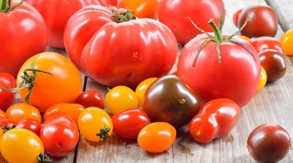 番茄怎麼吃最營養