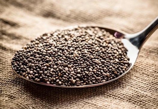 素食蛋白質來源 素食蛋白質來源