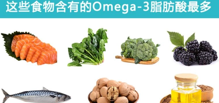 Omega 3食物排行榜完整指南：聰明攝取EPA與DHA