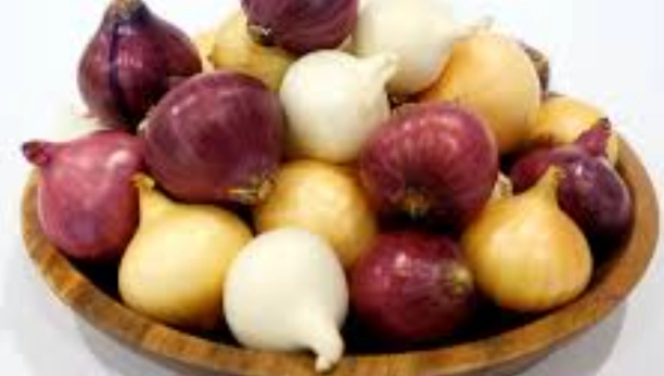 珍珠小洋蔥營養 珍珠小洋蔥營養