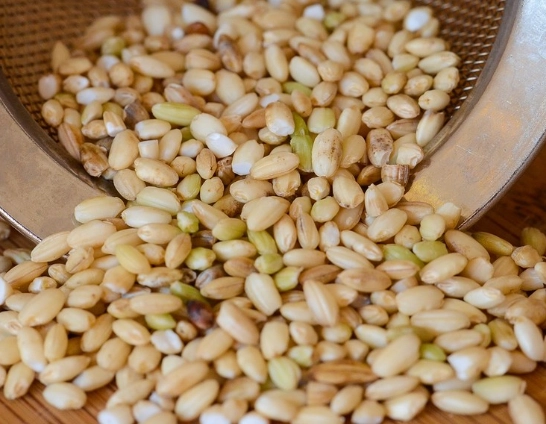 水溶性纖維食物