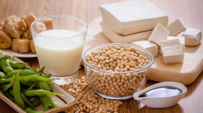 高蛋白植物食物 高蛋白植物食物