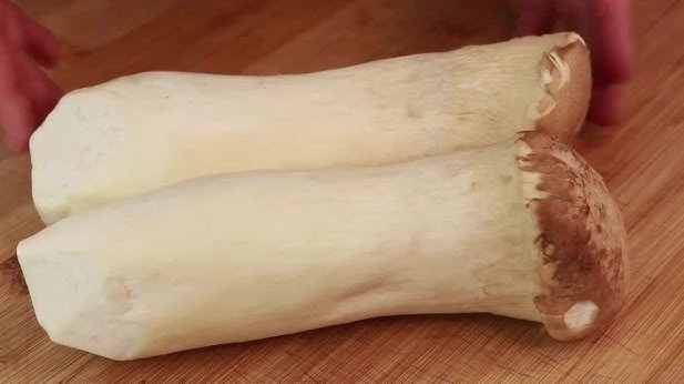 杏鮑菇一天吃多少才健康？營養師教你計算每日安全攝取量