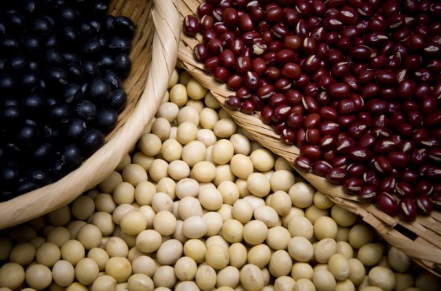 磷質食物有哪些